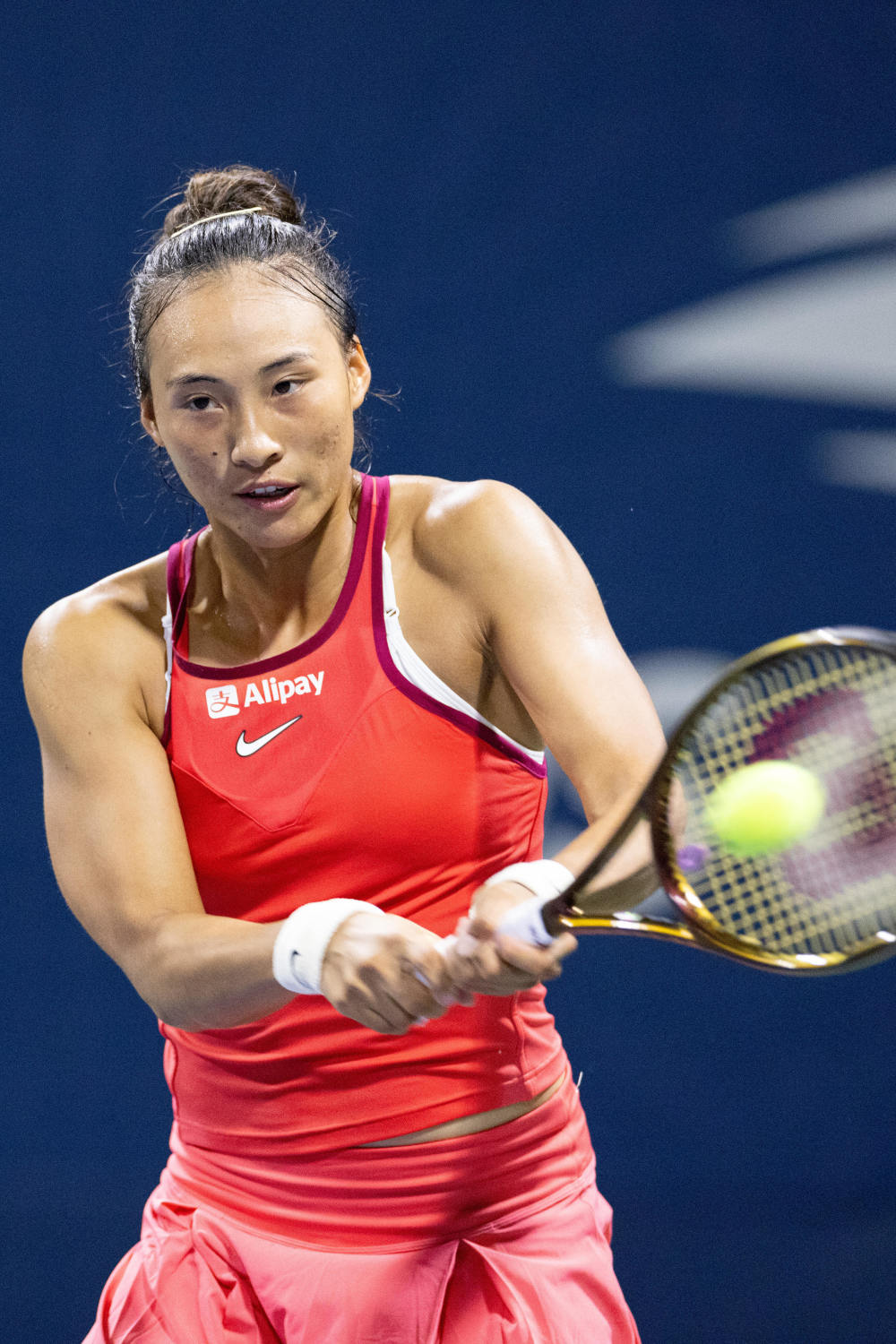 弗里克计划 弗里克计划